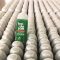 Sữa Tắm Nước Hoa Thuần Chay Organic Badusan Của Đức Chai 500ml Giúp Dưỡng Sáng Da Cấp Ẩm Hương Thơm Dịu Nhẹ Giảm Stress